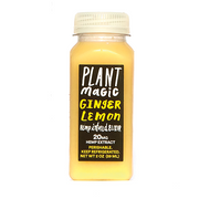 Ginger Lemon - 6 Pack
